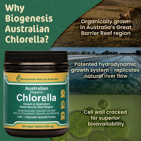 Tablette de Chlorella Biogenesis sur un fond naturel
