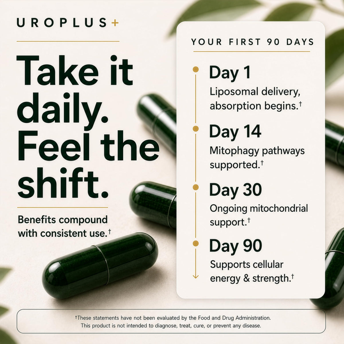 Tablette de Complexe Liposomal Urolithin A 1250mg sur une table