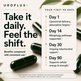 Tablette de Complexe Liposomal Urolithin A 1250mg sur une table