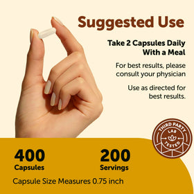 Tablette de Niacinamide Micro Ingredients, 500mg par capsule