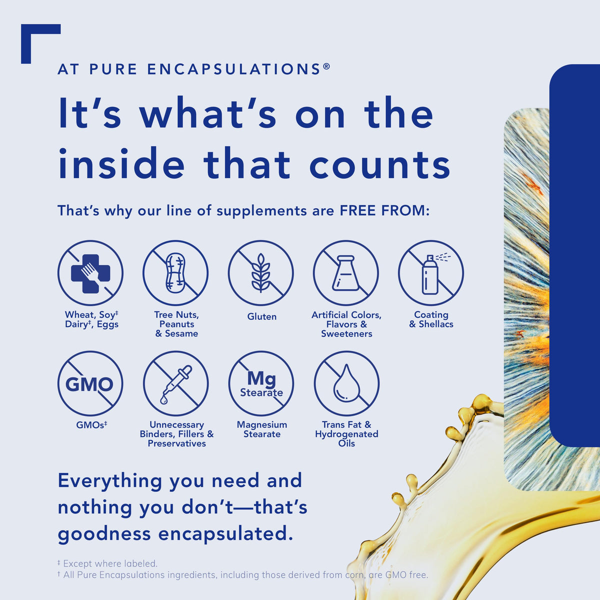 Tablette de Pure Encapsulations Acide Alpha-Lipoïque avec une main tenant la bouteille