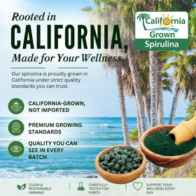 Tablette de spiruline Earthrise sur une cuillère
