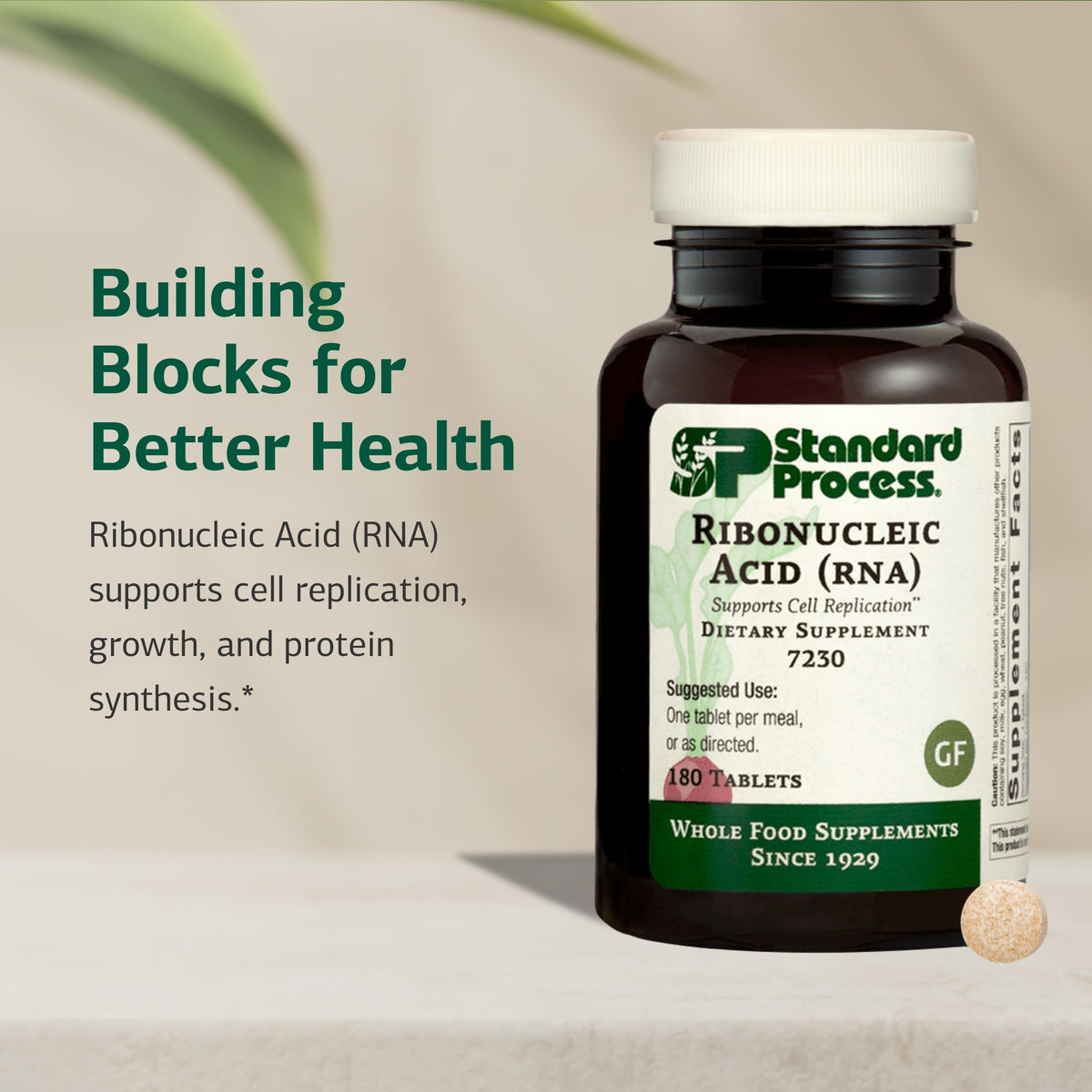 Tablette Standard Process Ribonucleic Acid RNA, gros plan