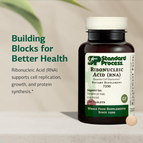 Tablette Standard Process Ribonucleic Acid RNA, gros plan