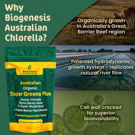 Tablettes Biogenesis SuperGreens Plus avec des ingrédients naturels