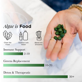 Tablettes de chlorella bio ENERGYBITS dans un smoothie
