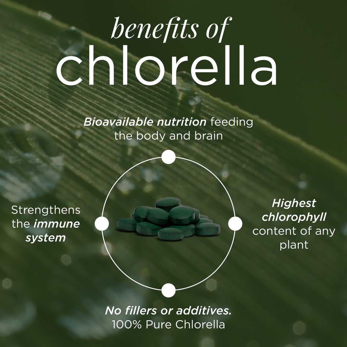 Tablettes de chlorella ENERGYBITS sur une surface en bois