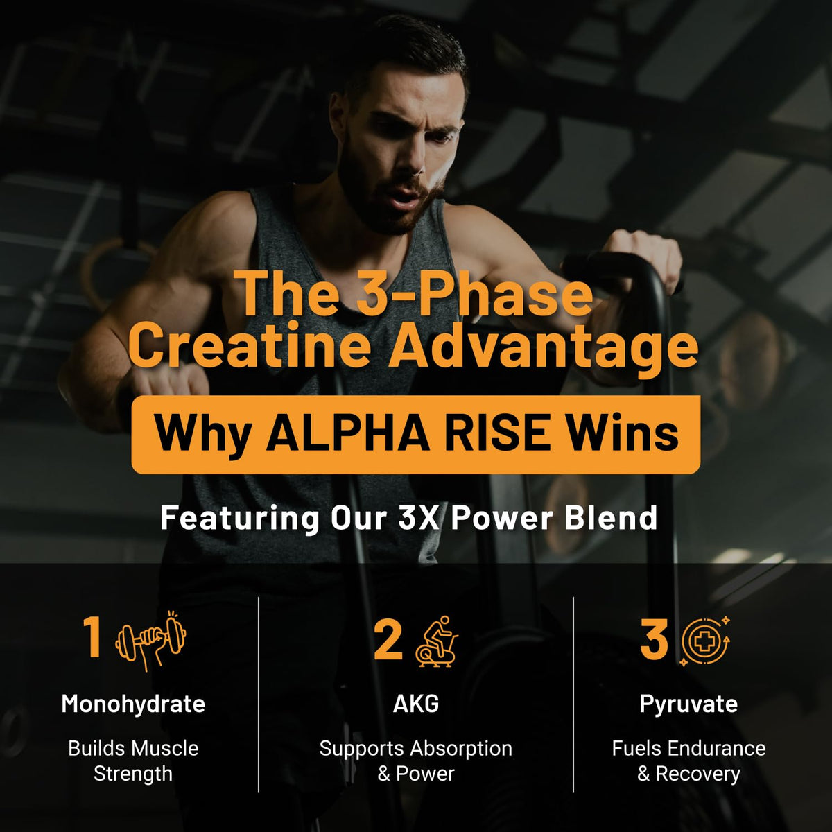 Tablettes de créatine ALPHA RISE avec l'emballage