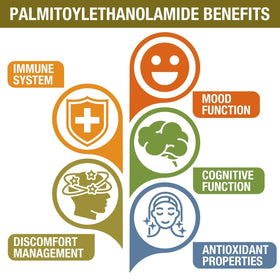 Tablettes de Palmitoylethanolamide Rosmolo sur fond blanc