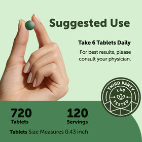 Tablettes de Spiruline Chlorella Bio dans une main