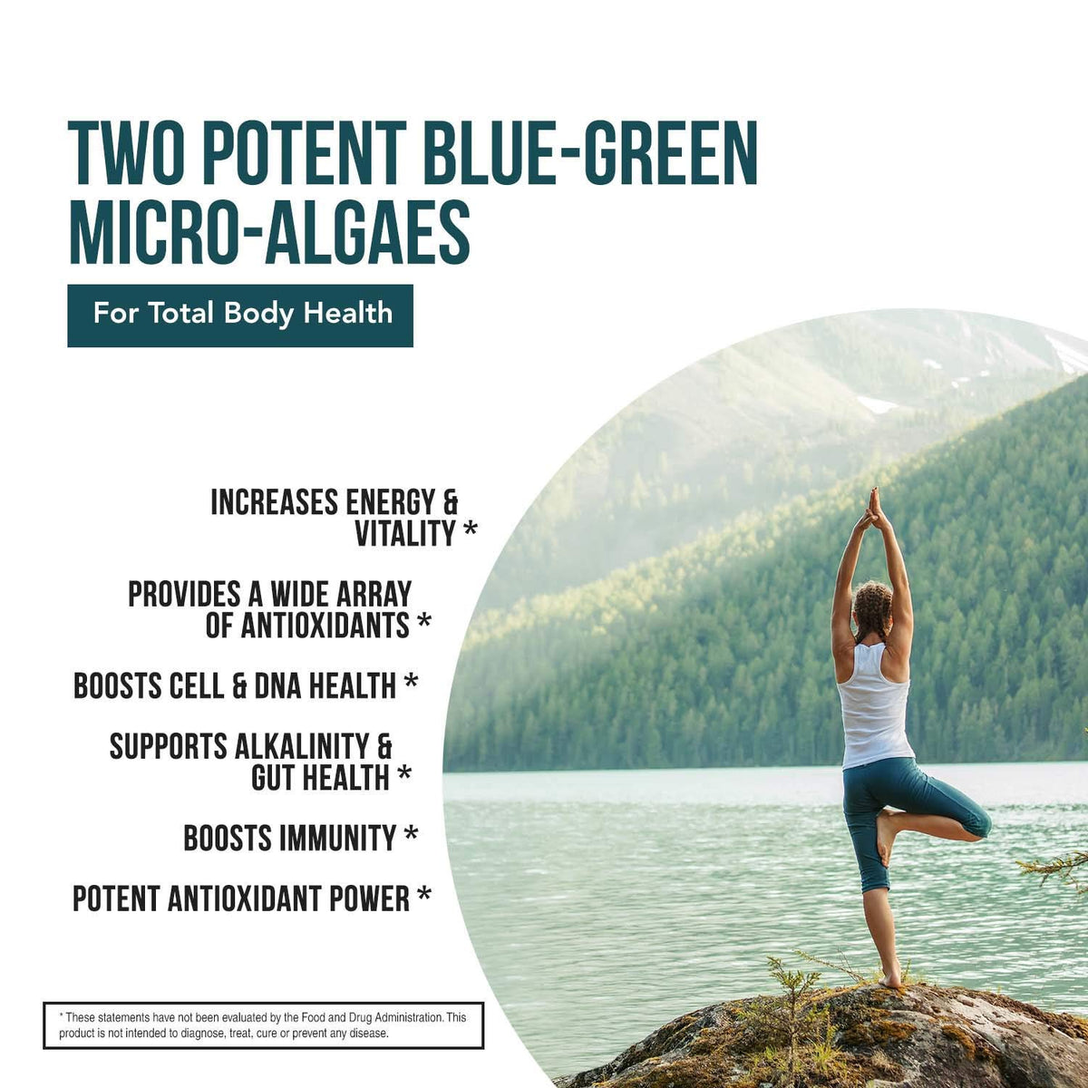 Tablettes de Spiruline et Chlorelle Bio Triquetra Health sur une table