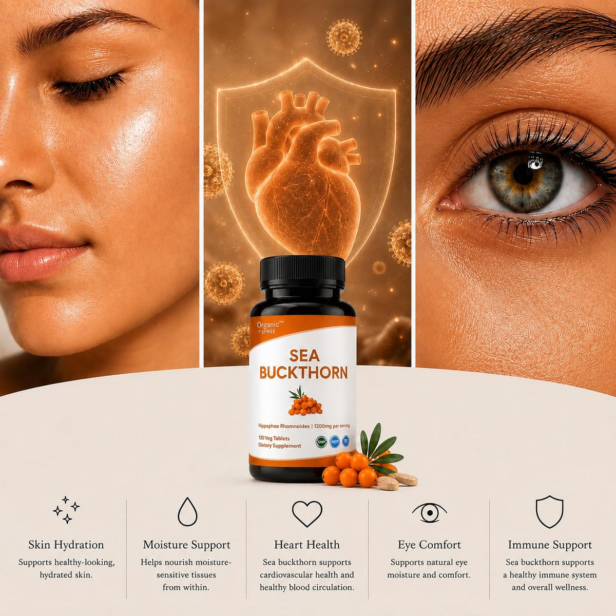 Tablettes ORGANIC SPREE, composition avec baies d'Hippophae rhamnoides