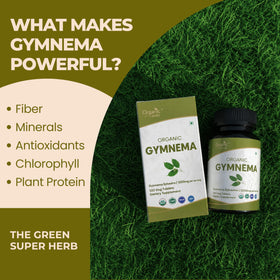 Tablettes ORGANIC SPREE Gymnema sur une surface en bois