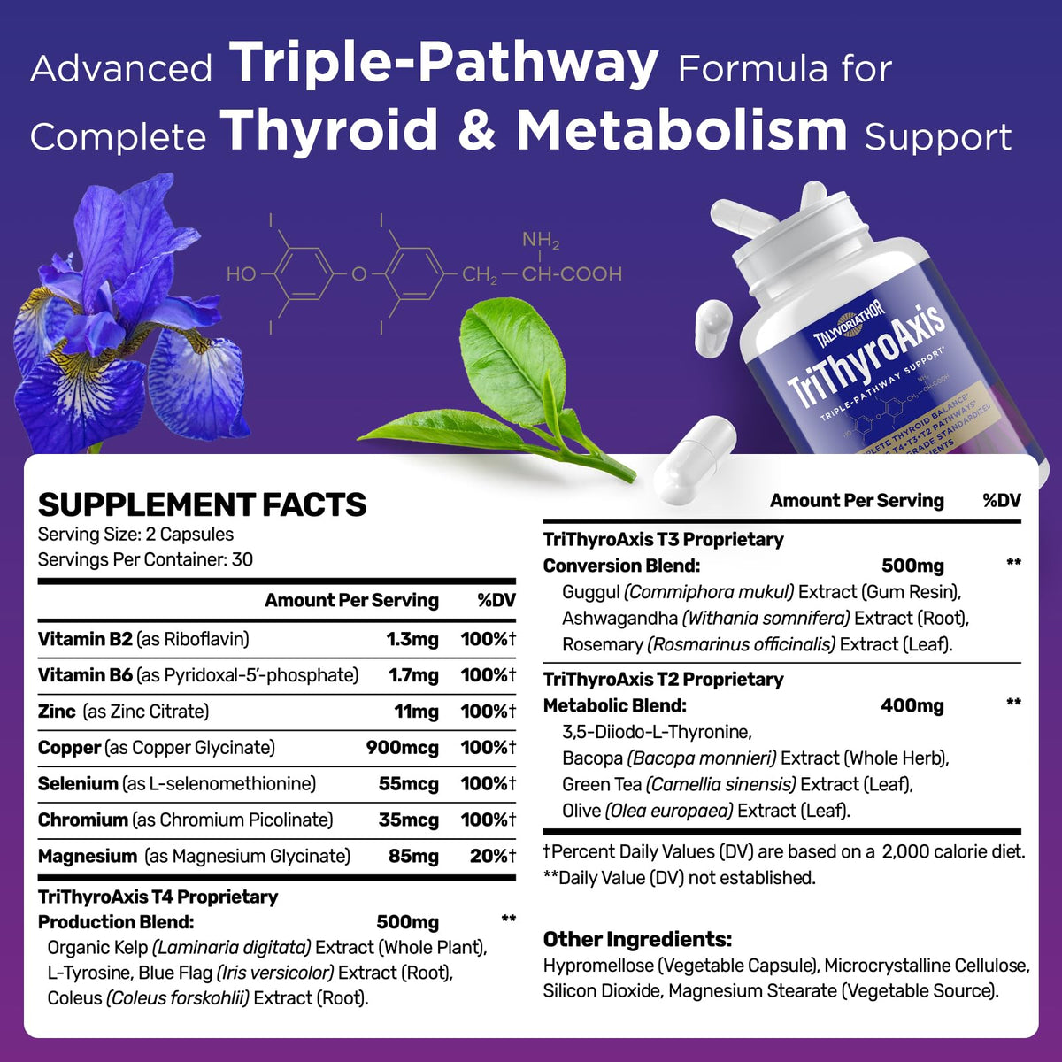 Talyvorlathor capsules avec ingrédients clés comme L-Tyrosine et Sélénium