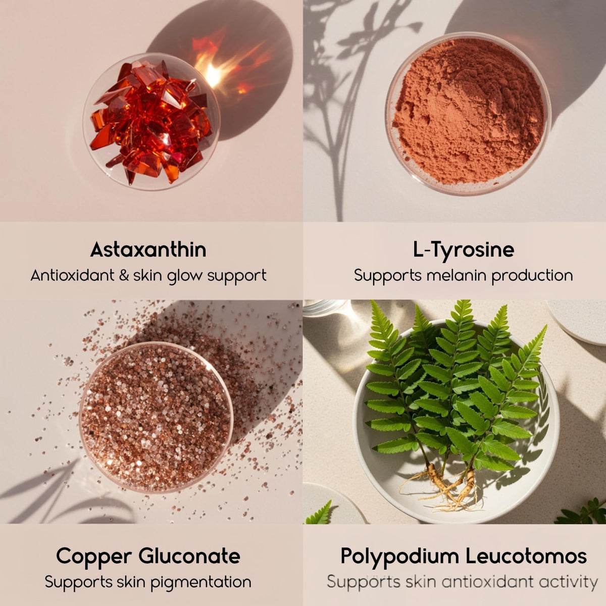 Tanova Capsules de Bronzage sur une table avec des plantes