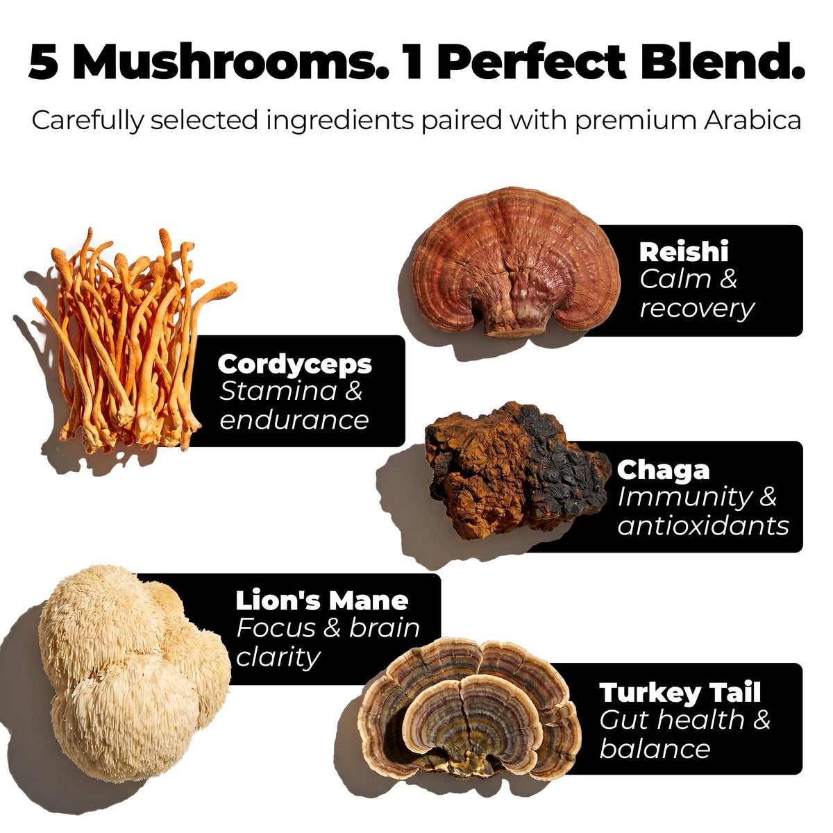 Tasse de café préparée avec le Café Noir aux Champignons Kuply