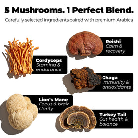 Tasse de café préparée avec le Café Noir aux Champignons Kuply