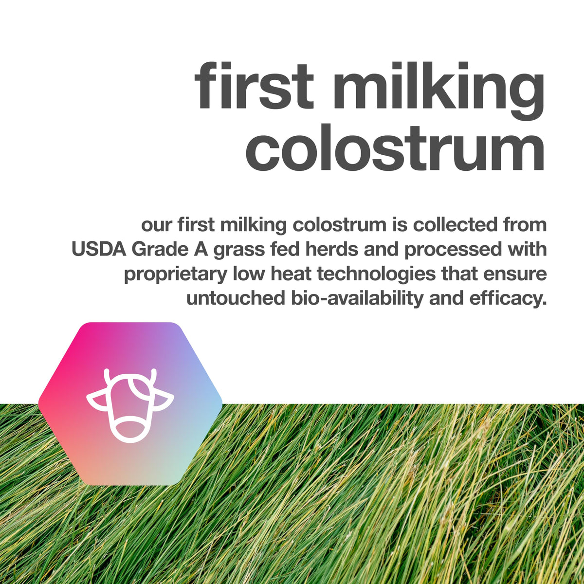 TBR Labs Colostrum Bovin Pur 180 Capsules avec vue arrière