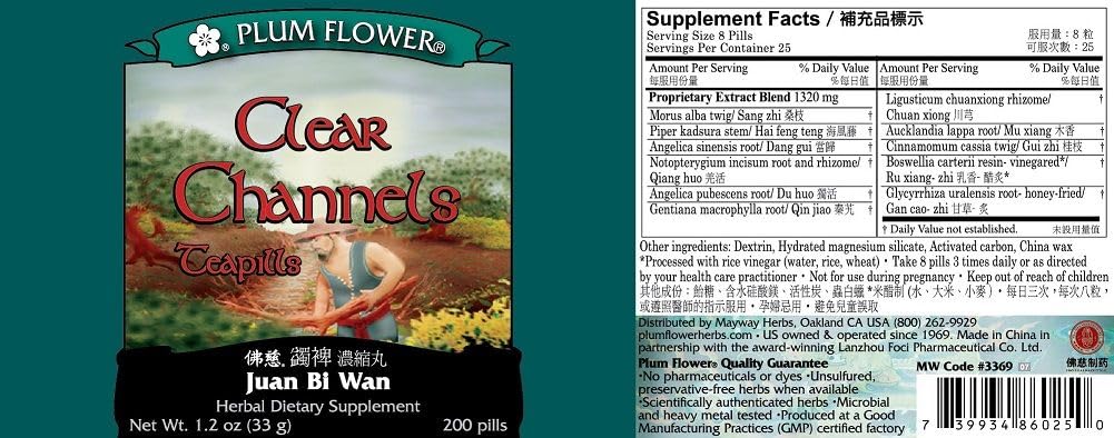 Teapills Juan Bi Wan de Plum Flower avec un focus sur l'emballage