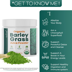 Teaveli Poudre de Jus d'Herbe d'Orge Bio 226 g - mélange dans un shaker