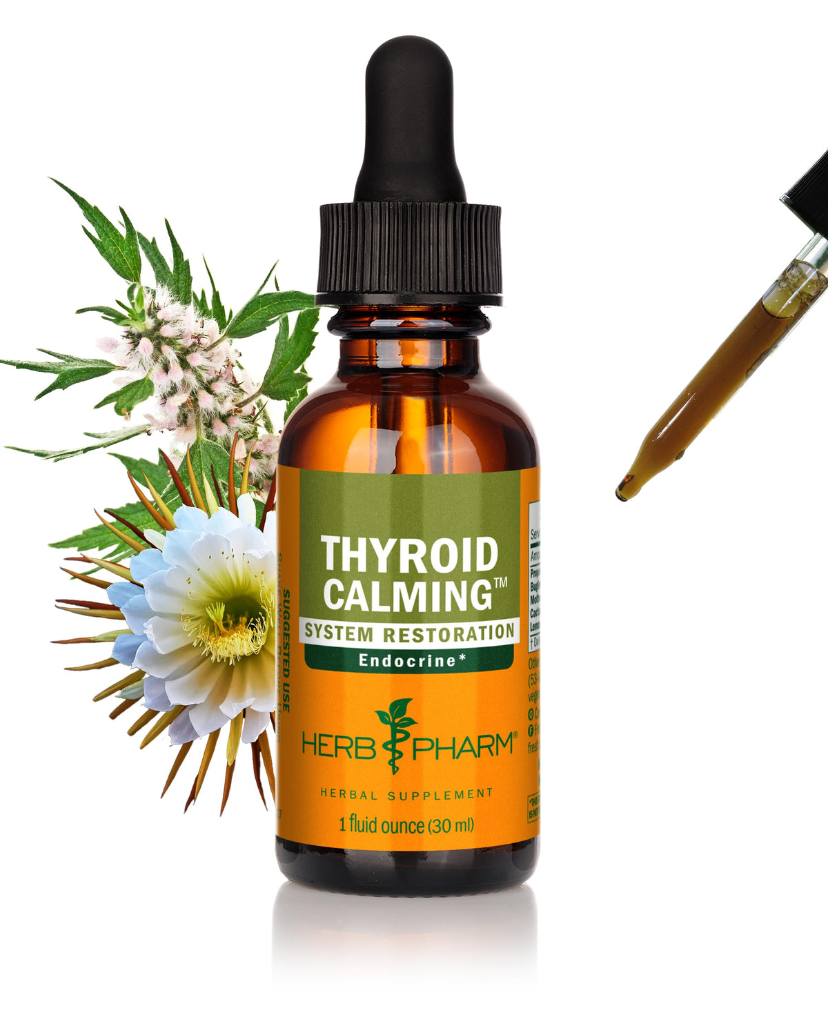 Teinture calmante pour thyroïde Herb Pharm 30 ml vue de face avec étiquette