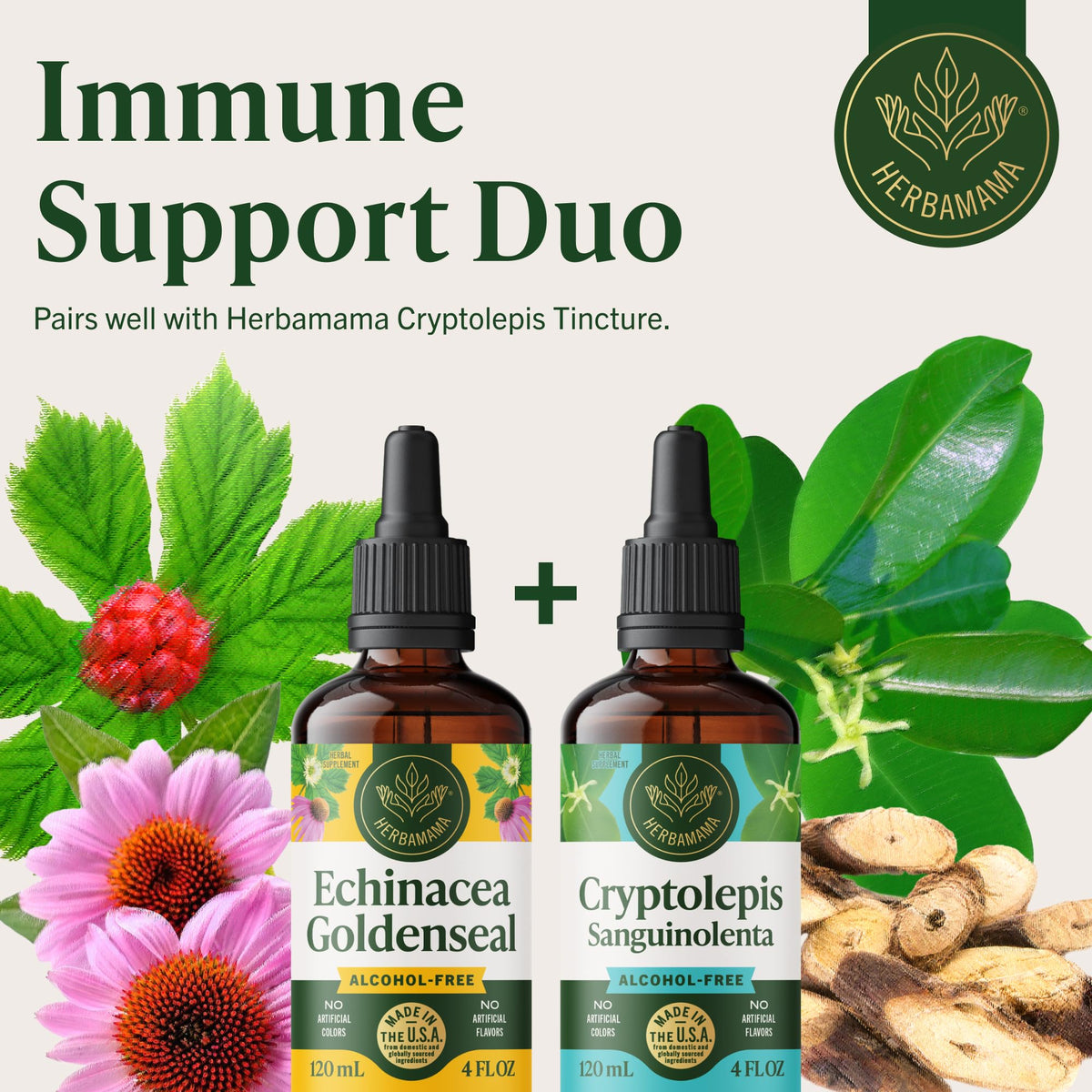Teinture d'Echinacea et Goldenseal avec un fond naturel