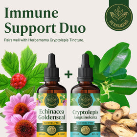 Teinture d'Echinacea et Goldenseal avec un fond naturel
