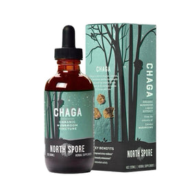Teinture de Champignon Chaga Bio North Spore 120 ml vue de face