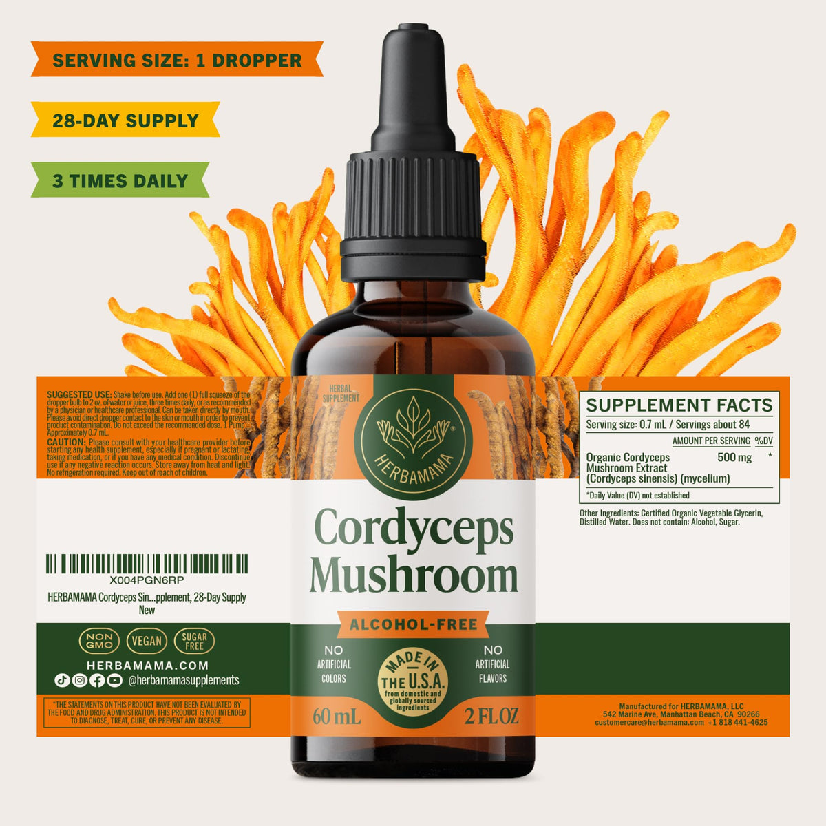 Teinture de champignon Cordyceps HERBAMAMA en usage quotidien