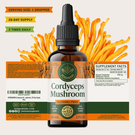 Teinture de champignon Cordyceps HERBAMAMA en usage quotidien