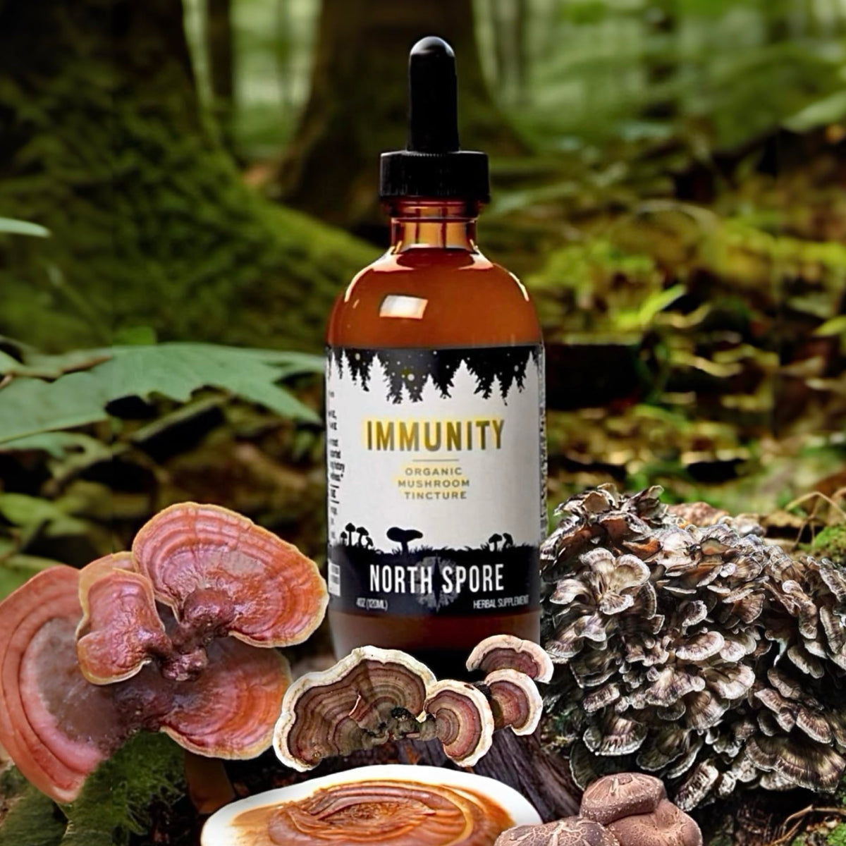 Teinture de champignons North Spore avec des champignons en arrière-plan