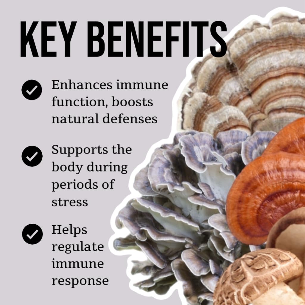 Teinture de champignons North Spore sur une table en bois
