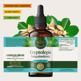 Teinture de Cryptolepis HERBAMAMA dans un cadre de vie