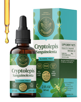 Teinture de Cryptolepis HERBAMAMA vue de face avec étiquette