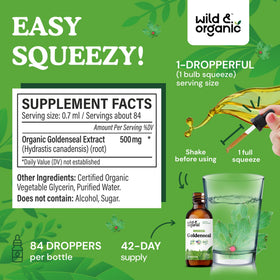 Teinture de goldenseal Wild & Organic, goutte à goutte dans une cuillère