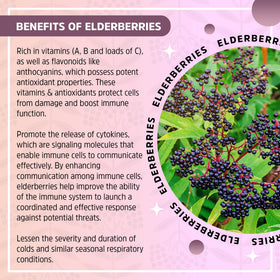 Teinture de sureau biologique Seattle Elderberry sur une table en bois