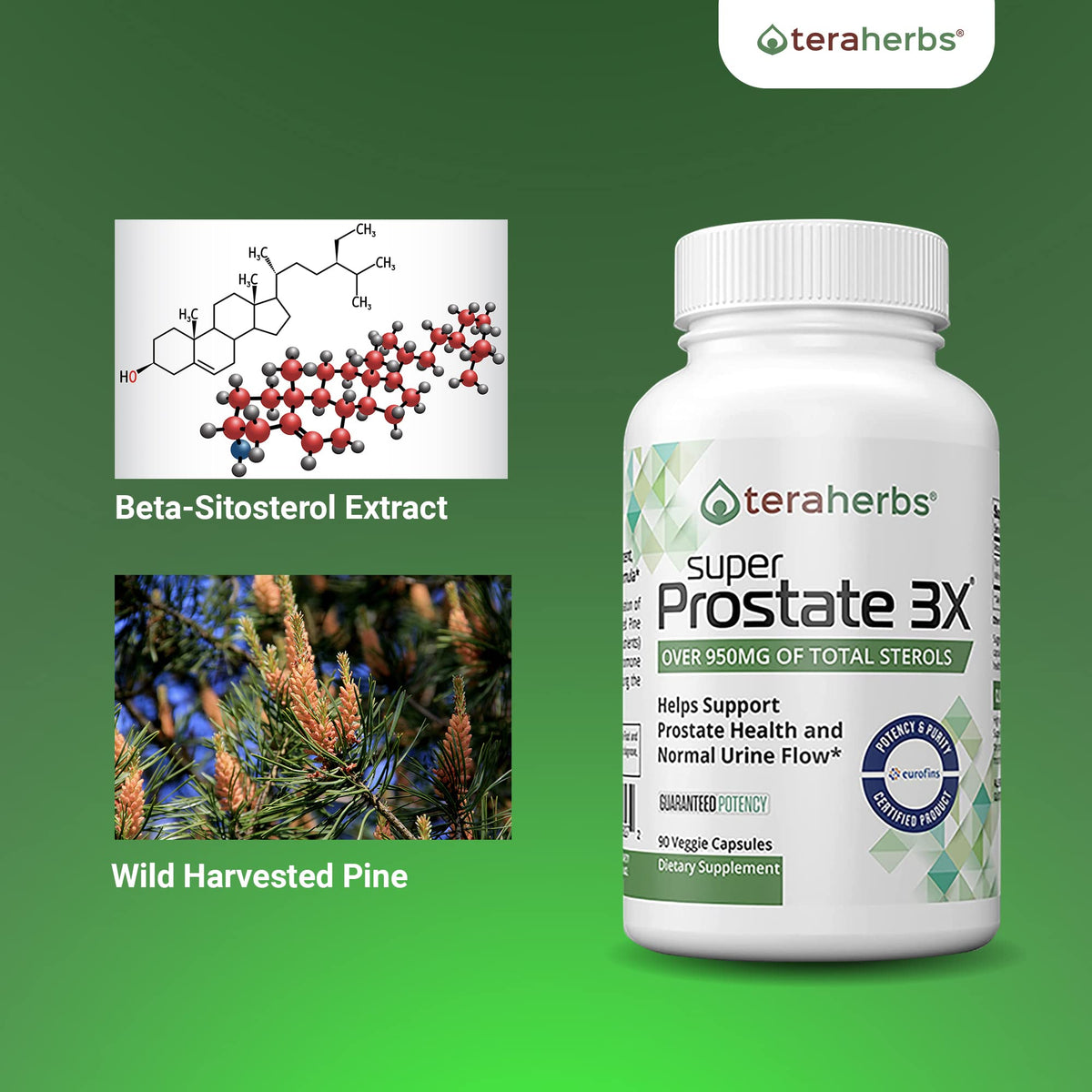 teraherbs Super Prostate 3X capsules en mode de vie actif