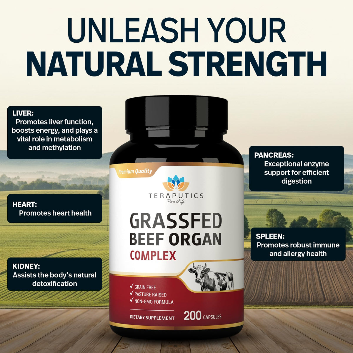 Teraputics complément alimentaire organes de boeuf 200 capsules emballage