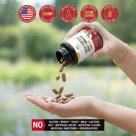 Teraputics complément alimentaire organes de boeuf capsules en gros plan