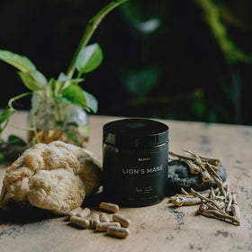 TERRA ELMNT Lion's Mane 16x 900mg capsules on a table