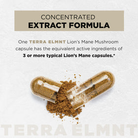 TERRA ELMNT Lion's Mane 16x 900mg packaging