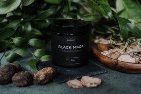 TERRA ELMNT Maca Noire Bio 40:1 avec gobelet d'eau