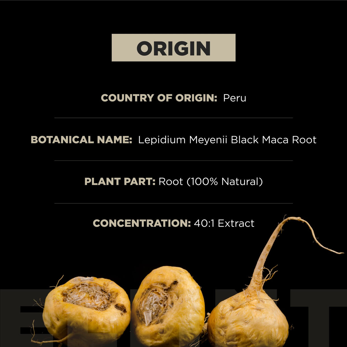 TERRA ELMNT Maca Noire Bio 40:1 avec ingrédients naturels