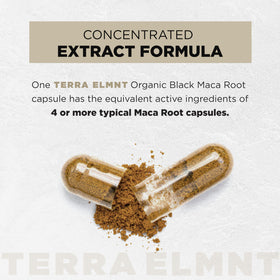 TERRA ELMNT Maca Noire Bio 40:1 capsules ouvertes