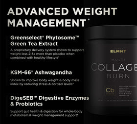 TERRA ELMNT Super Collagen Powder 481g Framboise Citron avec cuillère
