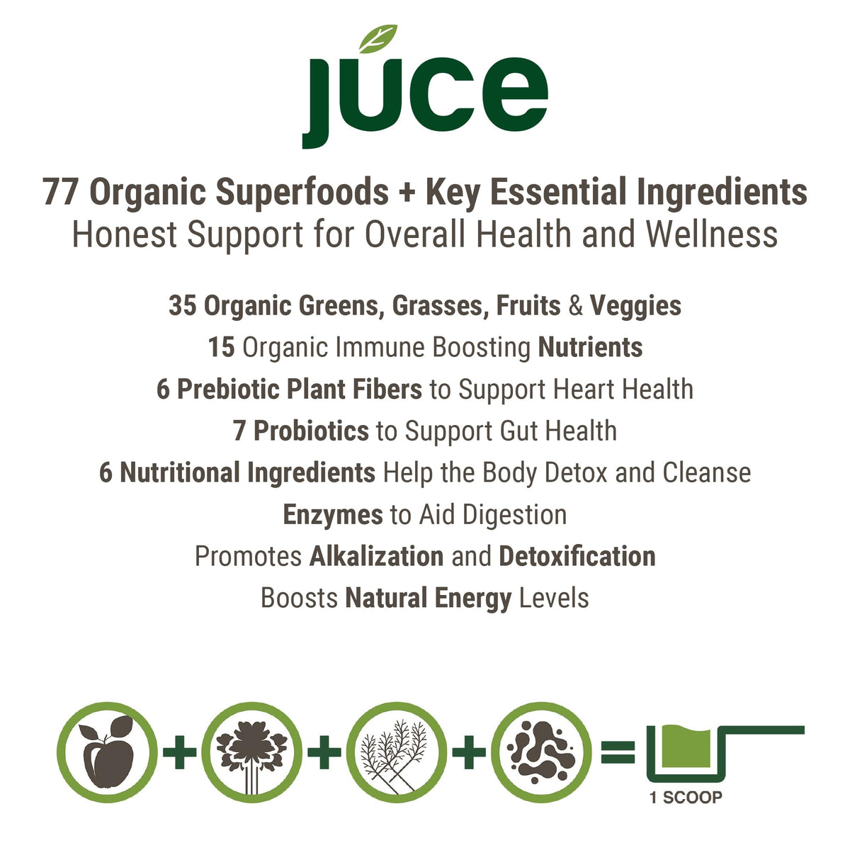 Terra Kai Organics Juce Greens Poudre 308g cuillère doseuse