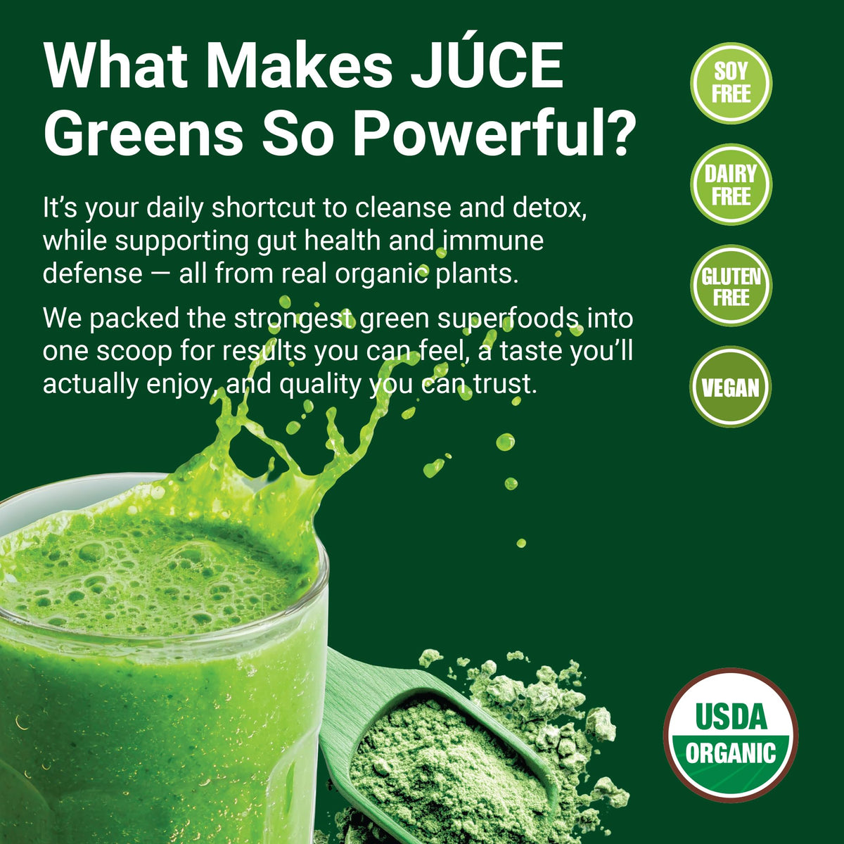 Terra Kai Organics Juce Greens Poudre 308g en poudre dans un verre