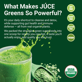 Terra Kai Organics Juce Greens Poudre 308g en poudre dans un verre