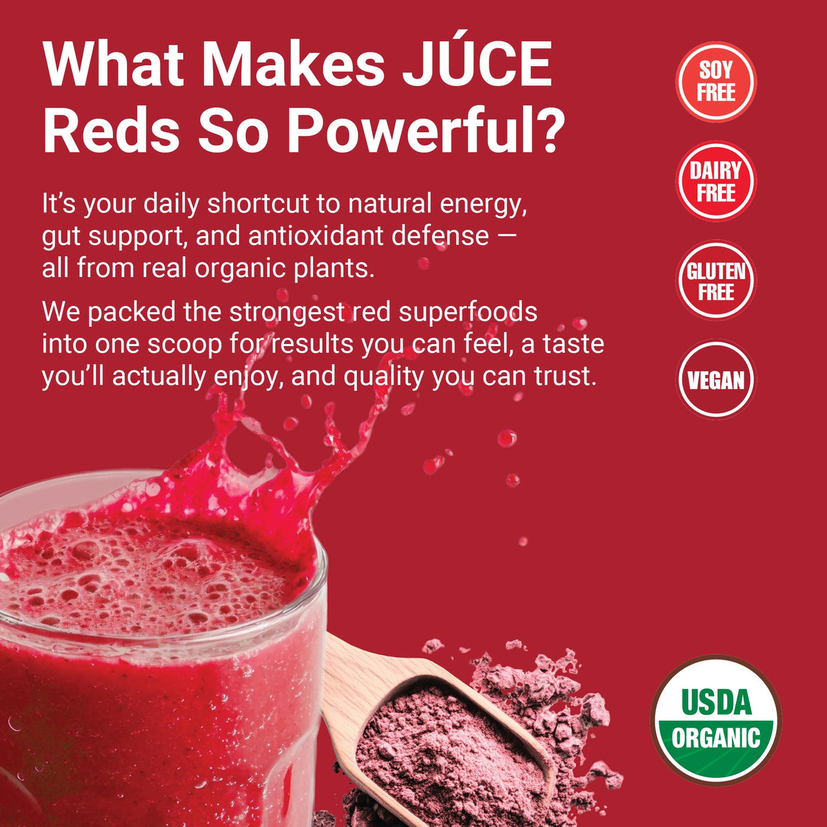 Terra Kai Organics Juce Reds Poudre 290g en utilisation dans un verre