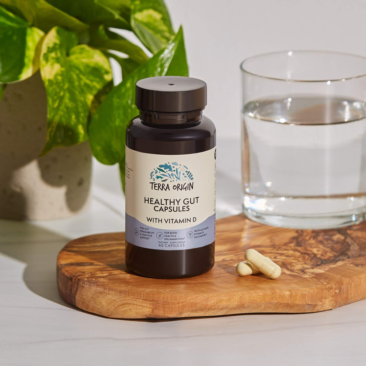 TERRA ORIGIN Complément Alimentaire 60 Capsules avec des ingrédients naturels
